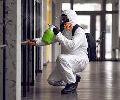  Edwardsville, PA Mold Remediation Pros